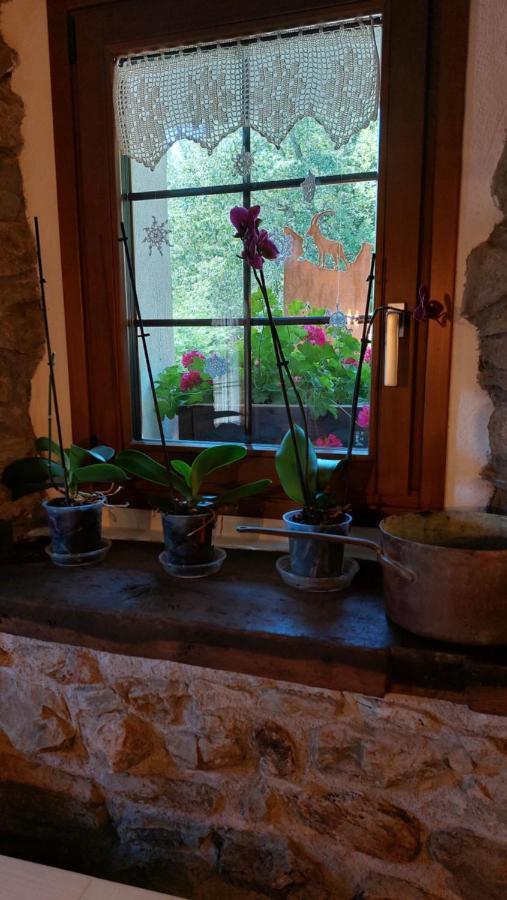 Beb Luca76 Bed & Breakfast Avise Exterior foto