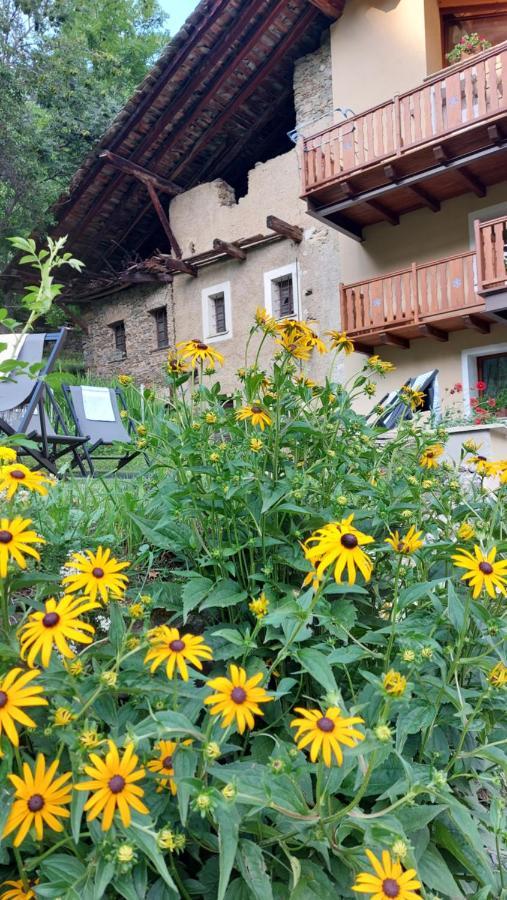 Beb Luca76 Bed & Breakfast Avise Exterior foto